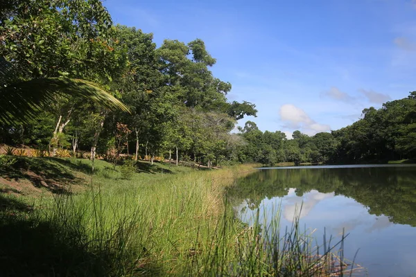 Eunapolis Bahia Brésil Mars 2023 Vue Sur Lac Dans Parc — Photo