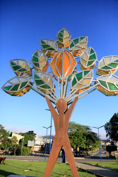 Gandu Bahia Brazylijski Maja 2023 Rzeźba Uformowana Przez Człowieka Drzewie — Zdjęcie stockowe