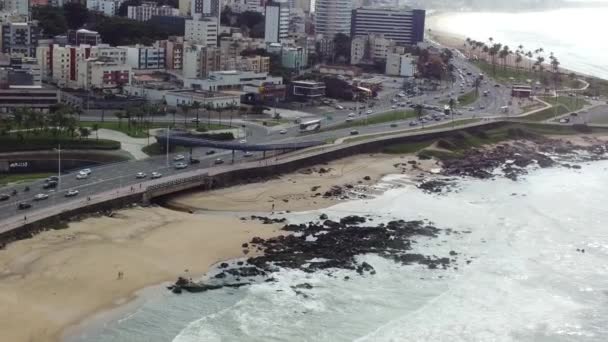 Salvador Bahia Brasil Mayo 2023 Peces Vistos Rocas Desde Playa — Vídeo de stock