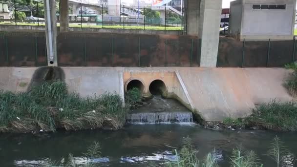 萨尔瓦多 巴伊亚州 2023年5月17日 排污管排入萨尔瓦多市的一条溪流 — 图库视频影像