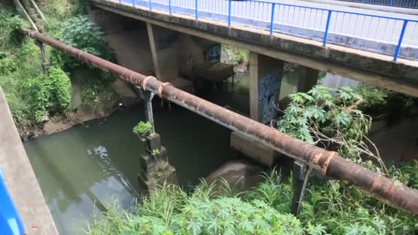 Salvador Bahia Brasil Mayo 2023 Puente Sobre Río Camarajipe Región — Vídeo de stock