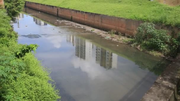 Salvador Bahia Brasil Maio 2023 Rede Canal Esgoto Rio Camarajipe — Vídeo de Stock