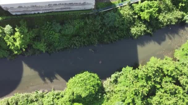 Salvador Bahia Brésil Mai 2023 Réseau Canal Égout Sur Rivière — Video