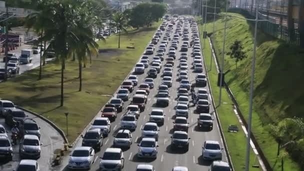 Salvador Bahia Brasil Febrero 2023 Circulación Vehículos Durante Atasco Avenida — Vídeo de stock