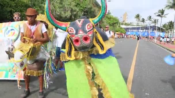 Salvador Bahia Brasil Febrero 2023 Atracción Cultural Participa Eventos Fuzue — Vídeo de stock