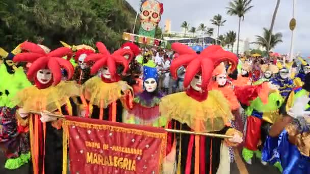 Salvador Bahia Brazylijski Luty 2023 Atrakcja Kulturalna Uczestniczy Eventi Fuzue — Wideo stockowe