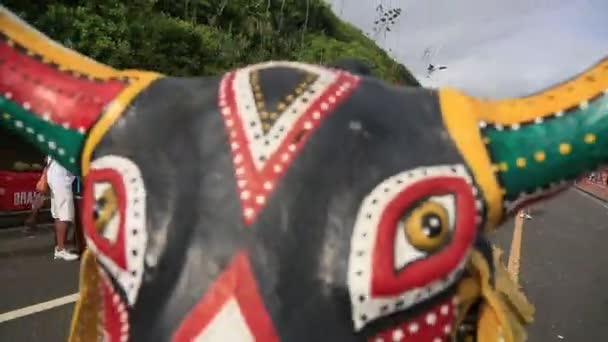 Salvador Bahia Brazilský Únor 2023 Kulturní Atrakce Účastní Eventi Fuzue — Stock video