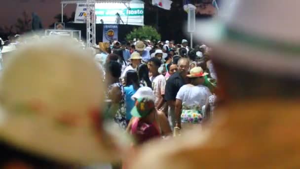 ブラジル バイーア州ボム ジーザス ラパ2014年8月4日 ジーザス ラパの洞窟巡礼に宗教参加 — ストック動画
