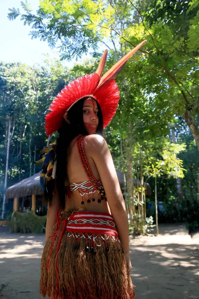 Porto Seguro Bahia Brazilië Augustus 2023 Etina Pataxo Indianen Gezien — Stockfoto
