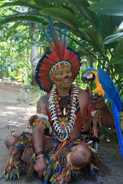 ポルト セグロのジャケイラ村で行われたアラゴラの祭りでエティナ パタオキア インディアンが目撃した ロイヤリティフリーのストック写真