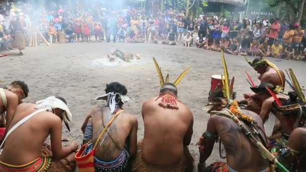 ポルト セグロのジャケイラ村で行われたアラゴラの祭りでエティナ パタオキア インディアンが目撃した — ストック動画