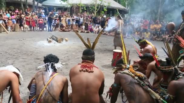 Porto Seguro Bahia Brazil August 2023 Etina Pataxo Indians Seen — Stock Video