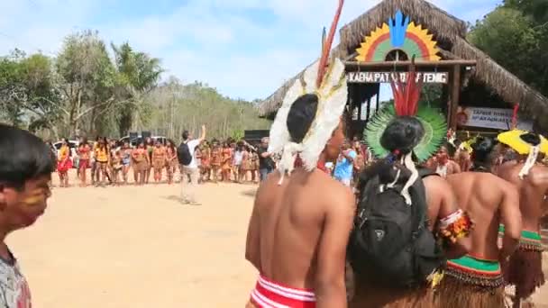 Porto Seguro Bahia Brazil Agustus 2023 Etina Pataxo Indian Terlihat — Stok Video