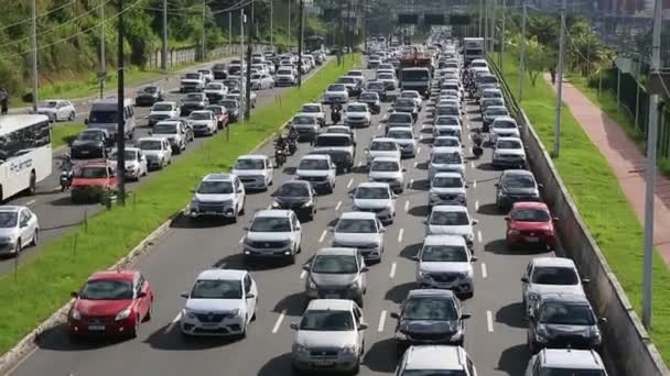 Salvador Bahia Brazilia Februarie 2024 Deplasarea Vehiculelor Drum Aglomerat Orașul — Videoclip de stoc
