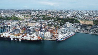 Salvador, Bahia, Brezilya - 6 Kasım 2023: Salavdor Limanı manzarası.