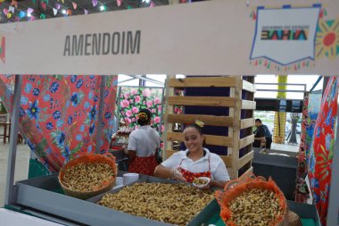 Salvador, Bahia, Brezilya - 28 Mayıs 2024: Salvador şehrindeki Sao Joao şenlikleri sırasında bir pazar yerinde satılık fıstık..