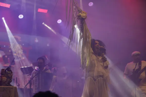 Stock image salvador, bahia, brazil - may 17, 2024: singer Mariene de Castro is seen during a performance in the city of Salvador.