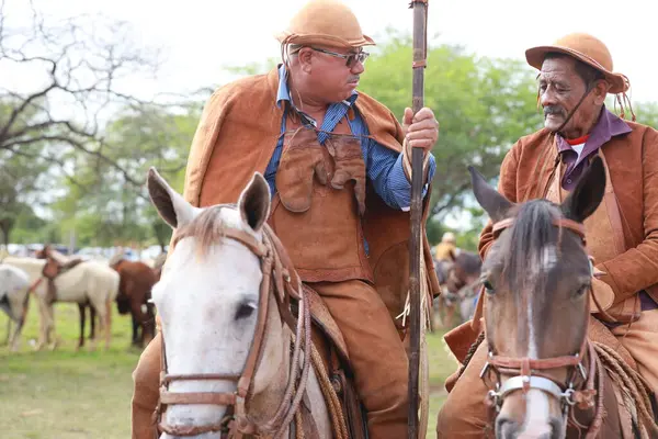 stock image curaca, bahia, brazil - july 7, 2024: Northeastern cowboy takes part in the mass in honor of his profession in the city of Curaca.