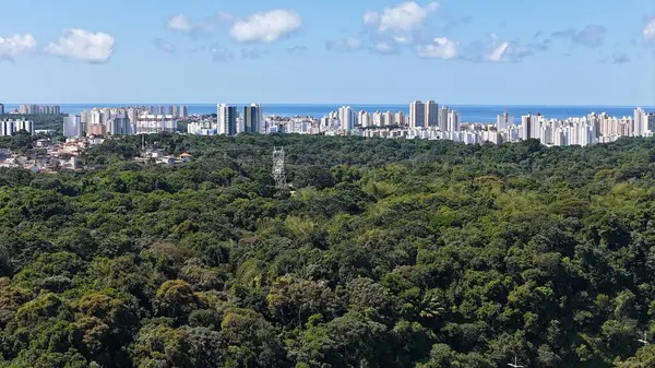 stock image salvador, bahia, brazil - june 29, 2024: aerial view of houses in a favela area and residential buildings in the city of Salvador.