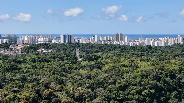 stock image salvador, bahia, brazil - june 29, 2024: aerial view of houses in a favela area and residential buildings in the city of Salvador.