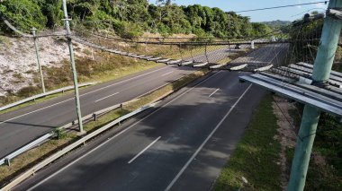 mata de sao joao, bahia, brazil - september 9, 2024: View of a wild animal flyover on the BA 099 highway in the Praia do Forte region. clipart