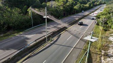 mata de sao joao, bahia, brazil - september 9, 2024: View of a wild animal flyover on the BA 099 highway in the Praia do Forte region. clipart