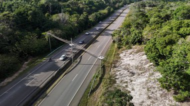 mata de sao joao, bahia, brrazil - 9 Eylül 2024: Praia do Forte bölgesinde BA 099 karayolu üzerinde vahşi bir hayvan üstgeçidi görüntüsü.