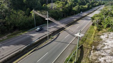 mata de sao joao, bahia, brrazil - 9 Eylül 2024: Praia do Forte bölgesinde BA 099 karayolu üzerinde vahşi bir hayvan üstgeçidi görüntüsü.