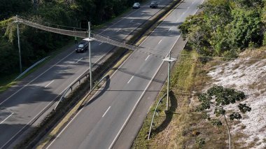 mata de sao joao, bahia, brrazil - 9 Eylül 2024: Praia do Forte bölgesinde BA 099 karayolu üzerinde vahşi bir hayvan üstgeçidi görüntüsü.