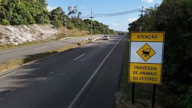 mata de sao joao, bahia, brazil - september 9, 2024: View of a wild animal flyover on the BA 099 highway in the Praia do Forte region. clipart