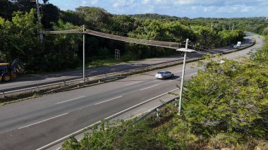 mata de sao joao, bahia, brrazil - 9 Eylül 2024: Praia do Forte bölgesinde BA 099 karayolu üzerinde vahşi bir hayvan üstgeçidi görüntüsü.