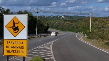 mata de sao joao, bahia, brazil - september 9, 2024: View of a wild animal flyover on the BA 099 highway in the Praia do Forte region. clipart