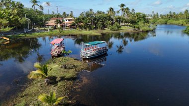 Mata de sao joao, bahia, brrazil - 9 Eylül 2024: Bahia 'nın kuzey kıyısındaki Imbassai bölgesi manzarası.