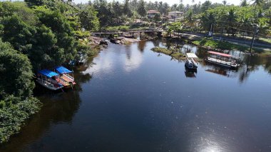 Mata de sao joao, bahia, brrazil - 9 Eylül 2024: Bahia 'nın kuzey kıyısındaki Imbassai bölgesi manzarası.