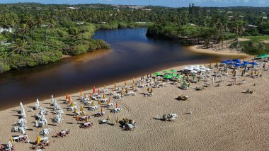 Mata de sao joao, bahia, brrazil - 9 Eylül 2024: Bahia 'nın kuzey kıyısındaki Imbassai bölgesi manzarası.