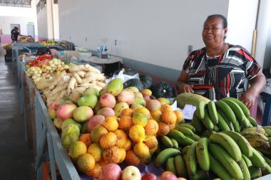 Boninal, bahia, brrazil - 2 Ekim 2024: Aile çiftliği ürünleri satan bir marketin manzarası.