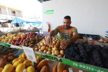 Boninal, bahia, brrazil - 2 Ekim 2024: Aile çiftliği ürünleri satan bir marketin manzarası.