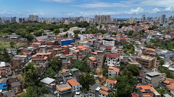 Salvador, Bahia, Brezilya - 16 Ekim 2024: Salvador kentindeki gecekondu mahallesinde havadan manzaralı evler.