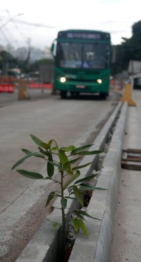 salvador, bahia, brazil - january 28, 2022: view of the BRT system implementation works on Avenida Antanio Carlo Magalhaes in the city of Salvador. clipart