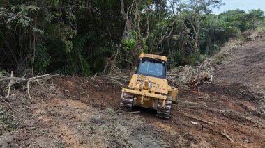 Salvador, Bahia, Brezilya - 3 Aralık 2024: Atlantik Ormanı 'nın ormansızlaştırma alanı Salvador şehrinde hafif bir demiryolu aracı inşa edilmesini gerektirir..