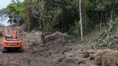 Salvador, Bahia, Brezilya - 3 Aralık 2024: Atlantik Ormanı 'nın ormansızlaştırma alanı Salvador şehrinde hafif bir demiryolu aracı inşa edilmesini gerektirir..