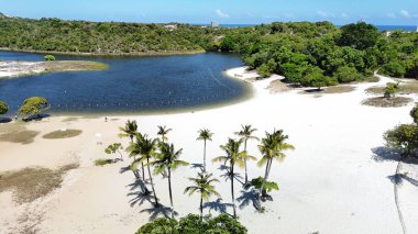 salvador, bahia, brazil - december 27, 2024: aerial view of Abaete Lagoon in the city of Salvador. clipart