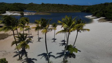 salvador, bahia, brazil - december 27, 2024: aerial view of Abaete Lagoon in the city of Salvador. clipart