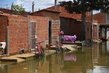 bom Jesus da lapa, bahia, brrazil - 19 Ocak 2025: Bom Jesus da Lapa şehrindeki Sao Francisco Nehri 'nin taşması sonucu sel basmış bölge.