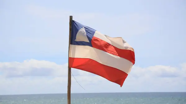 Kit D'outils Orthodontiques (6 Pièces) - Coupe-fil Distal, Pince Mathieu, Pince à Ligaturer... - Inox - Garantie 3 Ans