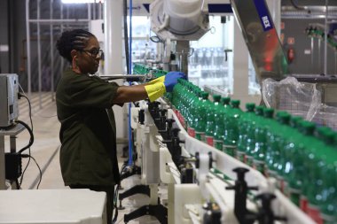 Mata de Sao Joao, Bahia, Brezilya - 15 Nisan 2025: Bahia 'daki bir fabrikada kimyasal üretim bandında çalışan kadın.