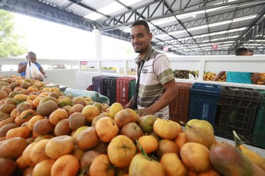 jequie, bahia, brrazil - 13 Haziran 2025: Meyve, sebze, bakla ve yeşillik satan bir pazar yeri manzarası.