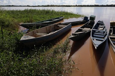 Carinhanha, Bahia, Brezilya - 13 Nisan 2024: Balıkçıların kanoları Carinhanha şehrindeki Sao Francisco Nehri 'nin kıyısında sıkıştı..