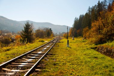Dağlardaki ve ormandaki eski demiryolu. Kırsalda güzel sonbahar havası.