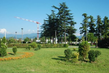 Şehir parkının manzarası ve bina inşaatı.